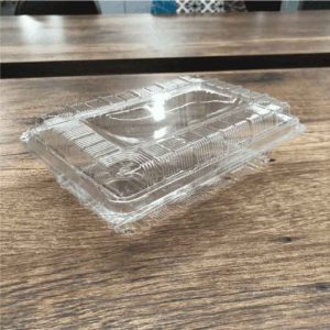 Hộp nhựa PET nắp gài CS004