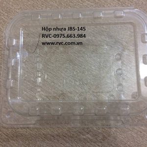 Hộp nhựa đựng trái cây gọt sẵn  JBS1-145
