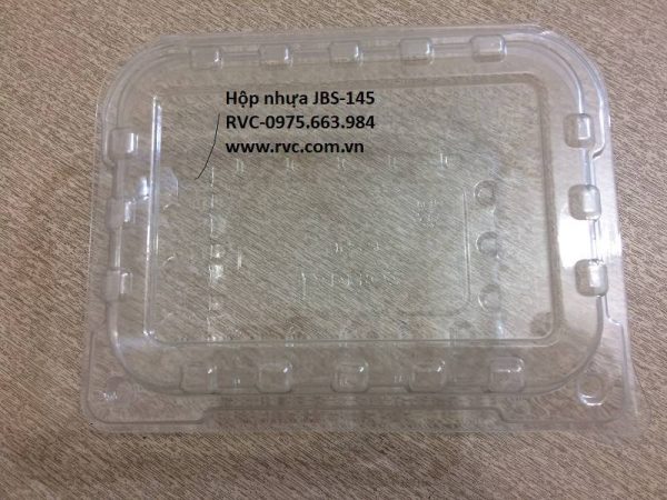 Hộp nhựa đựng trái cây gọt sẵn  JBS1-145