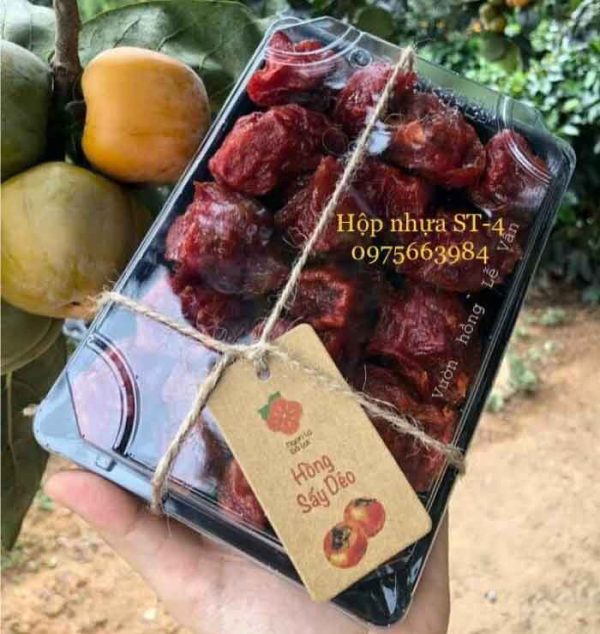Hộp nhựa ST4