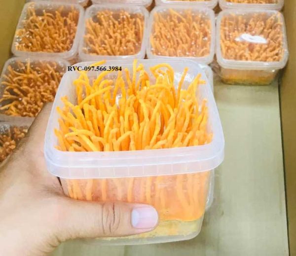 Thố nhựa vuông có khóa